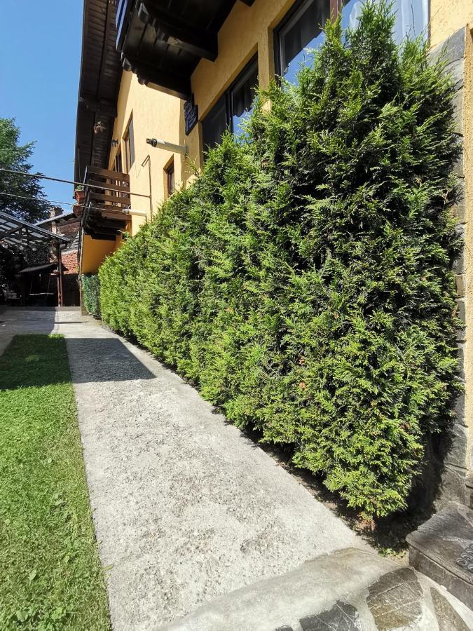 Shelby Accommodation -Adult Only- Σινάια Εξωτερικό φωτογραφία