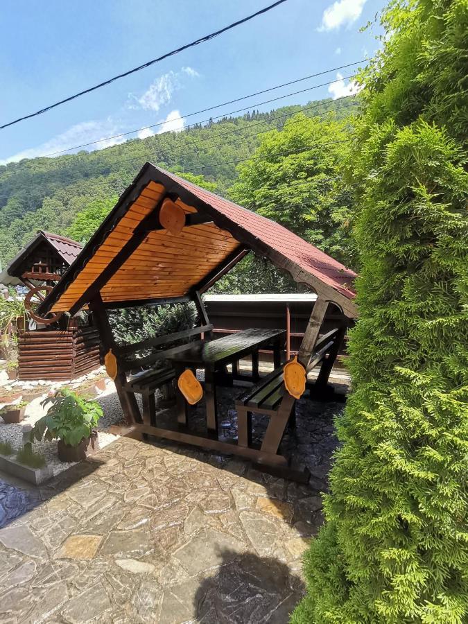 Shelby Accommodation -Adult Only- Σινάια Εξωτερικό φωτογραφία
